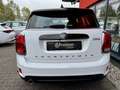 MINI Cooper Countryman Steptronic*Pepper*Kamera*17"* Weiß - thumbnail 4