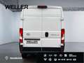 Toyota Proace 15Jahre Garantie L2H2 Comfort Navigation Weiß - thumbnail 7