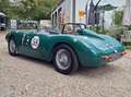 Triumph Sonstige Sammio ( Lancia D24 ) Grün - thumbnail 4