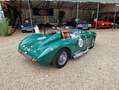 Triumph Sonstige Sammio ( Lancia D24 ) Grün - thumbnail 19