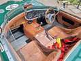 Triumph Sonstige Sammio ( Lancia D24 ) Grün - thumbnail 6