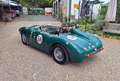 Triumph Sonstige Sammio ( Lancia D24 ) Grün - thumbnail 5