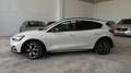 Ford Focus Sportbreak 1.0 Ecoboost Active Aut. - thumbnail 2