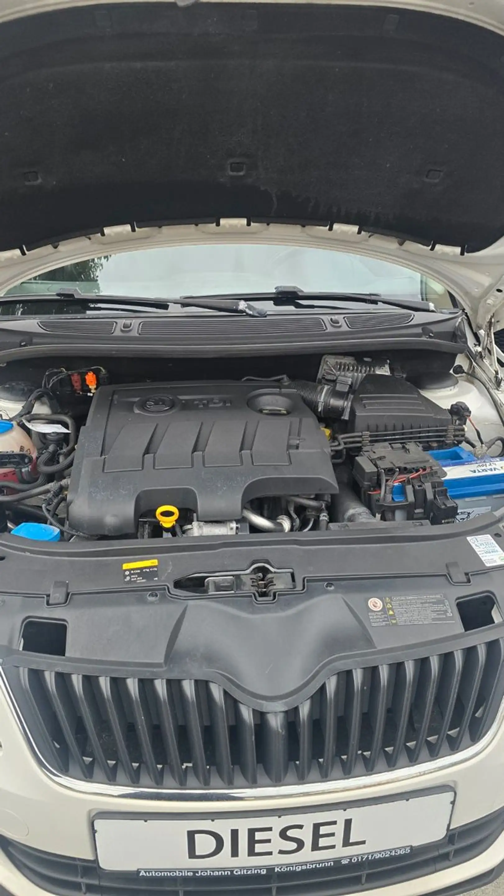 Skoda Roomster Ambition — photo 15