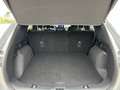 Ford Kuga 2.5 PHEV ST-Line X DRIVERPACK! WINTERPACK! TECHPAC Grijs - thumbnail 6