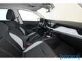 Skoda Scala 1.0TSI DSG Selection LED Navi SHZ Vorber. AHK Grau - thumbnail 19