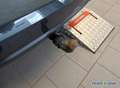 Audi Q3 35 TDI S line Int Navi,Leder,AHK Grau - thumbnail 8