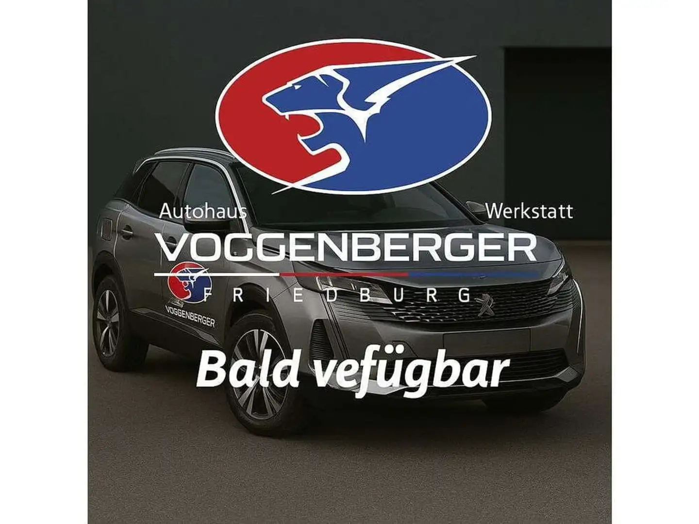 Volkswagen Passat Variant Passat Variant Business 2,0 SCR TDI DSG Grau - 1