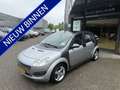 smart forFour 1.3 passion panoramadak Grijs - thumbnail 1