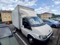 Ford E-Transit - thumbnail 4