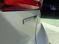 Ford Focus 1.0 EcoBoost Hybrid 125 CV 5p. Active Argent - thumbnail 22