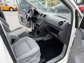 Volkswagen Caddy Maxi 1.9TDI Kombi 7pl. - thumbnail 13