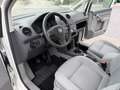 Volkswagen Caddy Maxi 1.9TDI Kombi 7pl. - thumbnail 22