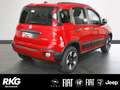 Fiat Panda Red 1.0 Mild Hybrid EU6d Komfort Paket Rood - thumbnail 3