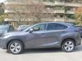 Lexus NX 300 NX I 2014 300h 2.5 Luxury 4wd cvt Gris - thumbnail 11
