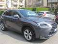 Lexus NX 300 NX I 2014 300h 2.5 Luxury 4wd cvt Gris - thumbnail 6