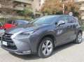Lexus NX 300 NX I 2014 300h 2.5 Luxury 4wd cvt Gris - thumbnail 10