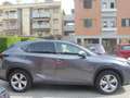 Lexus NX 300 NX I 2014 300h 2.5 Luxury 4wd cvt Gris - thumbnail 5