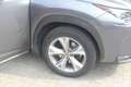 Lexus NX 300 NX I 2014 300h 2.5 Luxury 4wd cvt Gris - thumbnail 25