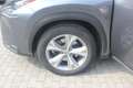 Lexus NX 300 NX I 2014 300h 2.5 Luxury 4wd cvt Gris - thumbnail 23