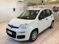 Fiat Panda Panda 1.0 FireFly S&S Hybrid Icon PROMO MESE + TA Blanc - thumbnail 5