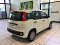 Fiat Panda Panda 1.0 FireFly S&S Hybrid Icon PROMO MESE + TA Blanc - thumbnail 7