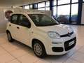 Fiat Panda Panda 1.0 FireFly S&S Hybrid Icon PROMO MESE + TA Blanc - thumbnail 3