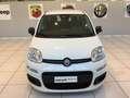 Fiat Panda Panda 1.0 FireFly S&S Hybrid Icon PROMO MESE + TA Blanc - thumbnail 4