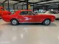 Ford Mustang COUPE K-CODE HIGH PERFORMANCE 271HP Червоний - thumbnail 2