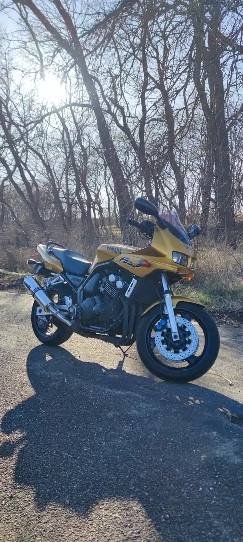 Yamaha FZS 600 Yamaha fazer met navigatie!!! 44.500km!! Auriu - 1
