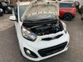 Kia Picanto 1.2 Dream Team Weiß - thumbnail 21