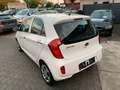 Kia Picanto 1.2 Dream Team Weiß - thumbnail 13
