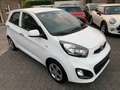 Kia Picanto 1.2 Dream Team Weiß - thumbnail 10