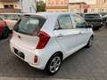 Kia Picanto 1.2 Dream Team Weiß - thumbnail 11