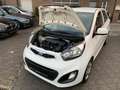 Kia Picanto 1.2 Dream Team Weiß - thumbnail 20