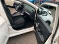 Kia Picanto 1.2 Dream Team Weiß - thumbnail 6