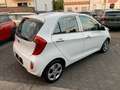 Kia Picanto 1.2 Dream Team Weiß - thumbnail 12
