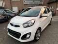 Kia Picanto 1.2 Dream Team Weiß - thumbnail 14