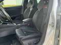 Skoda Octavia RS iV Head/Up Matrix 19 Zoll Assistenzpaket Silber - thumbnail 6