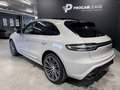 Porsche Macan Porsche Macan GTS /LED/PANO/BOSE/21"/AHK/SPORT CHR Grau - thumbnail 15
