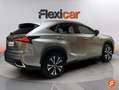 Lexus NX 300 300h Premium 2WD Beige - thumbnail 24