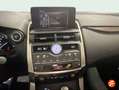 Lexus NX 300 300h Premium 2WD Beige - thumbnail 16