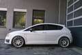 SEAT Leon 2.0 TSI Cupra Pickerl NEU Weiß - thumbnail 6