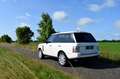 Land Rover Range Rover 4.2 V8 Supercharged 144Dkm Alaska White Blanc - thumbnail 3
