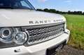 Land Rover Range Rover 4.2 V8 Supercharged 144Dkm Alaska White Blanc - thumbnail 8