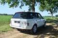 Land Rover Range Rover 4.2 V8 Supercharged 144Dkm Alaska White Weiß - thumbnail 23