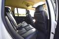 Land Rover Range Rover 4.2 V8 Supercharged 144Dkm Alaska White Weiß - thumbnail 16