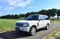 Land Rover Range Rover 4.2 V8 Supercharged 144Dkm Alaska White Weiß - thumbnail 22