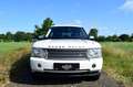 Land Rover Range Rover 4.2 V8 Supercharged 144Dkm Alaska White Blanc - thumbnail 7