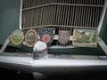 Opel Olympia Cabrio Verde - thumbnail 20